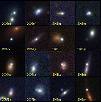 SDSS-II Supernovae